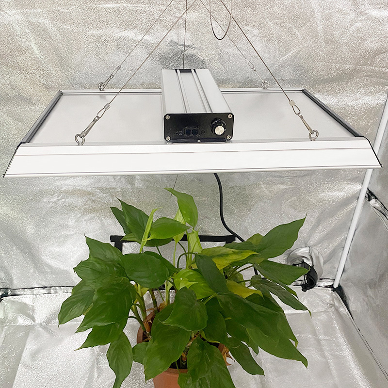 Humilis Energy Garden Led Lux ​​crescet in tomatoes